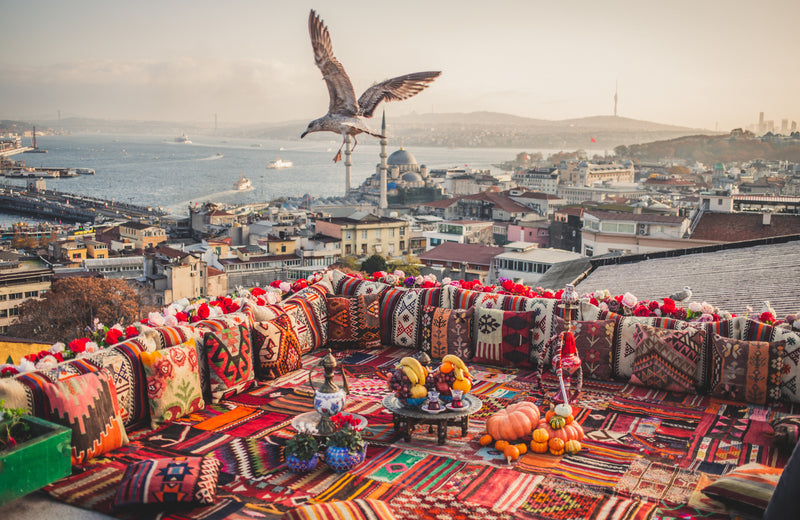 Unveiling the Timeless Beauty: Exploring Traditional Rug Motifs of Turkish Rugs Part 1