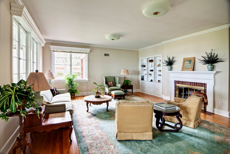 Living Room Area Rugs