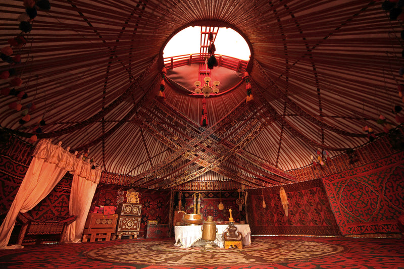 Qashqai Rugs