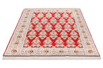 5x6 Red and Light Blue Turkish Anatolian Rug