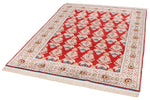 5x6 Red and Light Blue Turkish Anatolian Rug