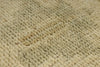5x9 Green and Beige Turkish Tribal Rug