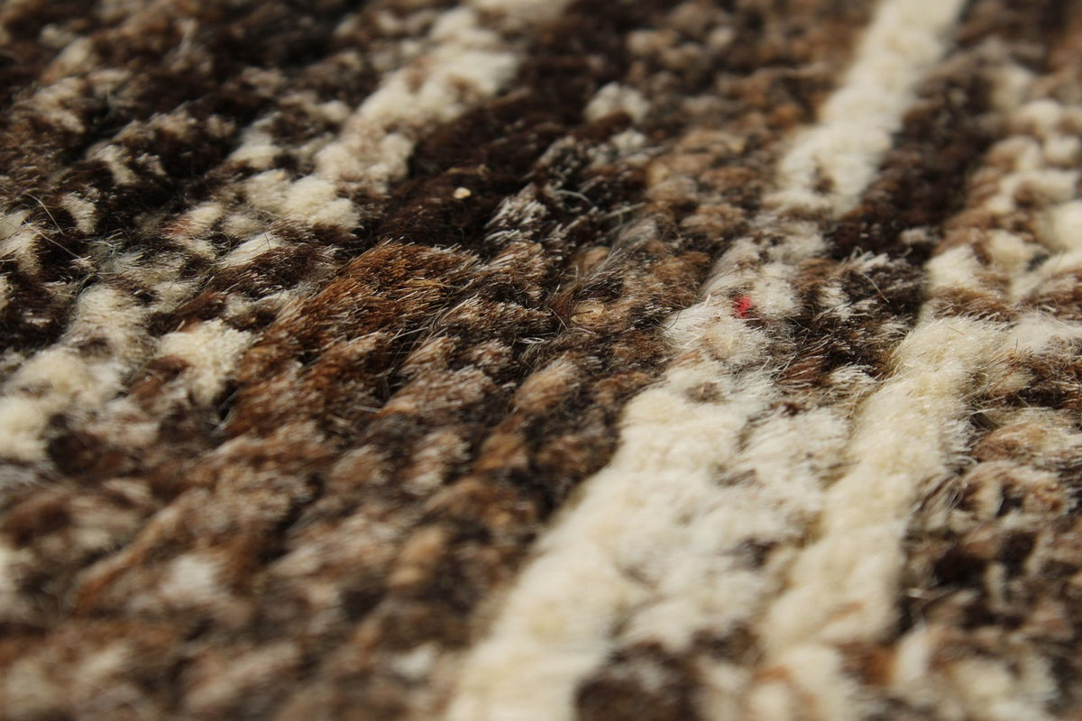 10x13 Brown and Ivory Modern Contemporary Rug