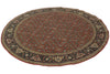 6x6 Burgundy and Navy Persian Traditional Rug