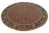 6x6 Burgundy and Navy Persian Traditional Rug