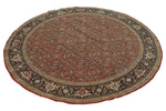 6x6 Burgundy and Navy Persian Traditional Rug