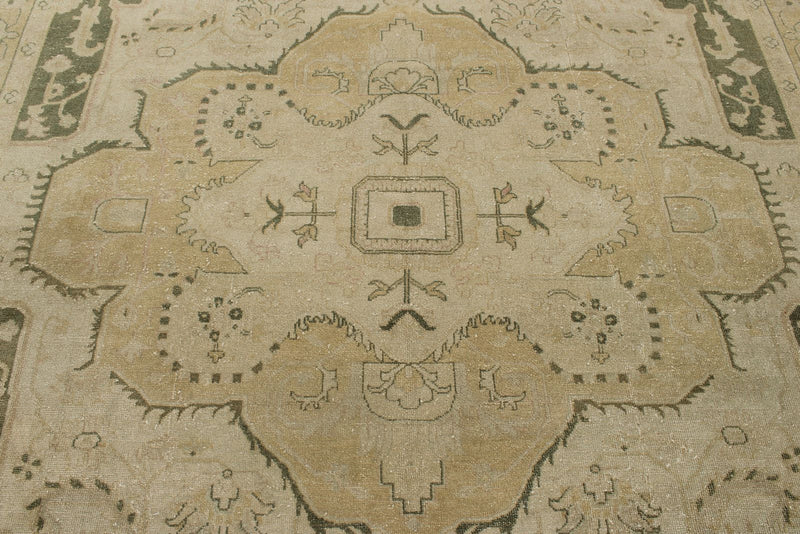 9x12 Ivory and Green Anatolian Persian Rug