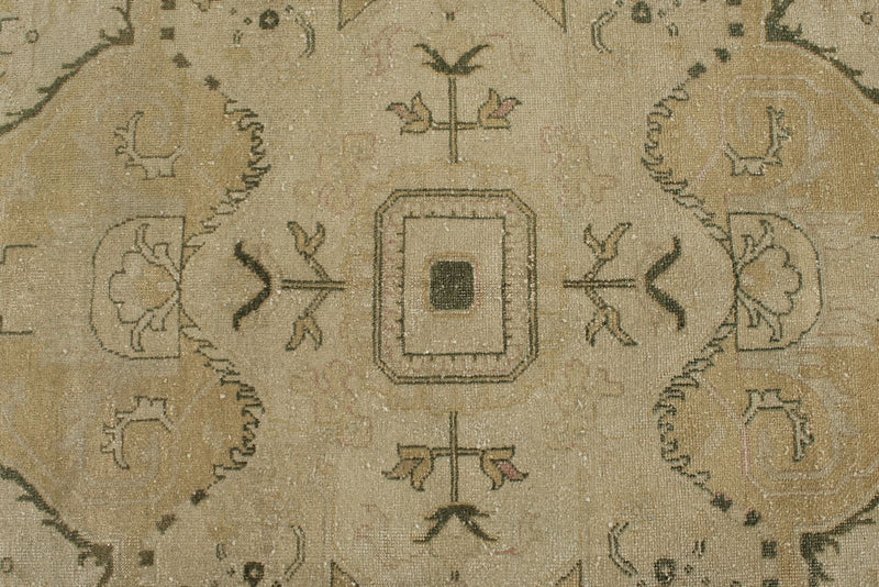 9x12 Ivory and Green Anatolian Persian Rug