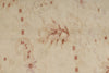 5x6 Beige Turkish Oushak Rug