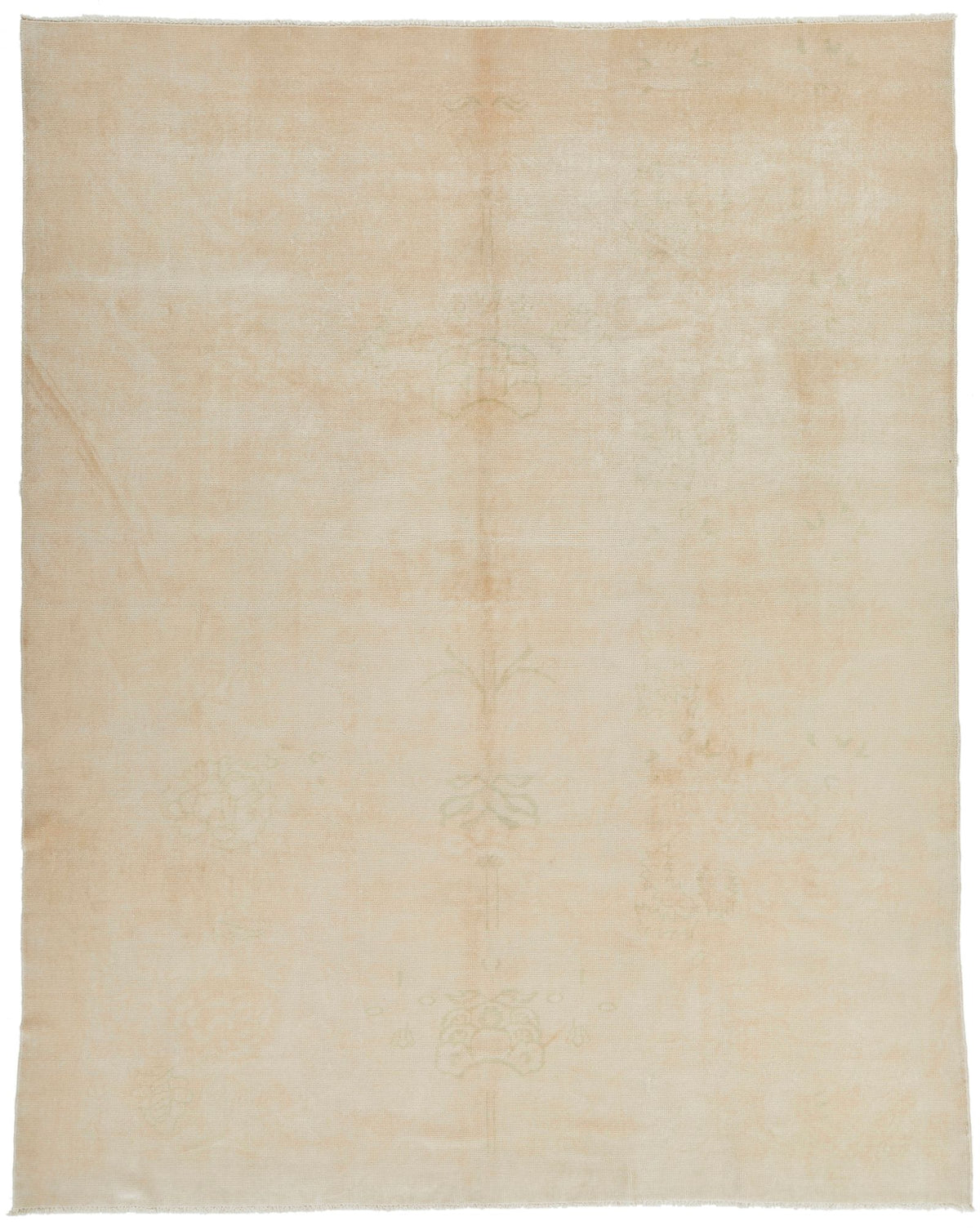 9x11 Beige Traditional Rug