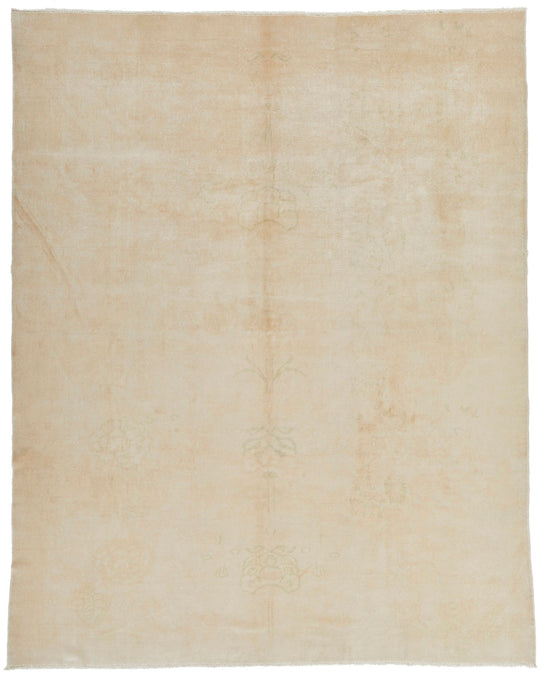 9x11 Beige Traditional Rug