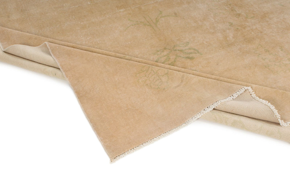 9x11 Beige Traditional Rug