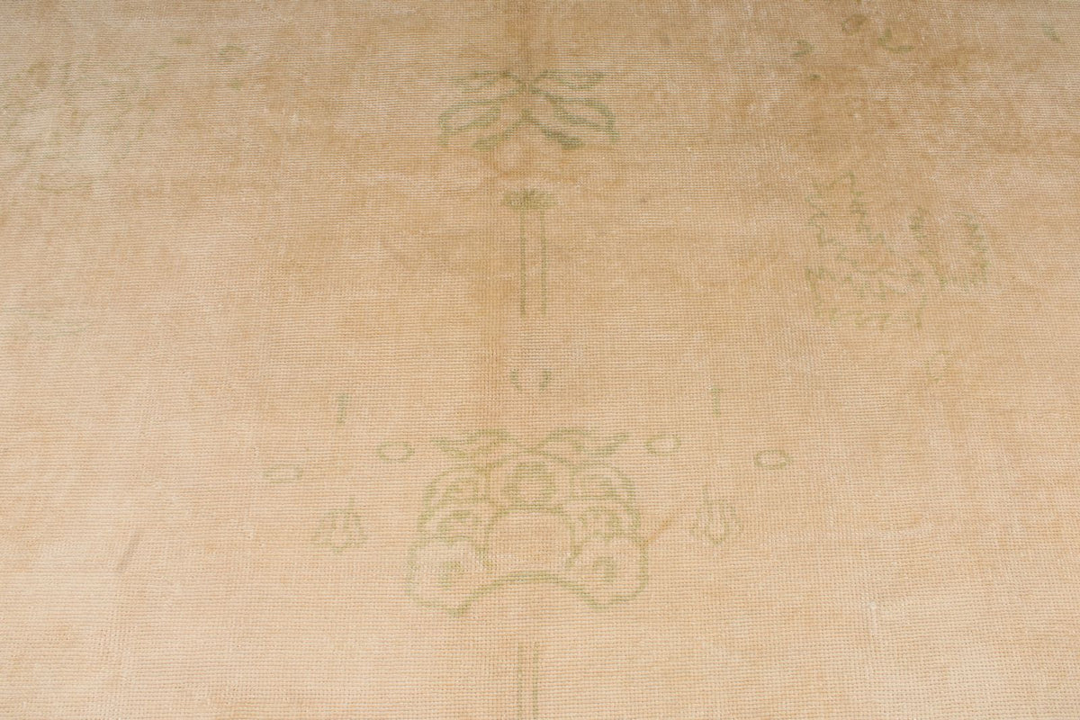 9x11 Beige Traditional Rug