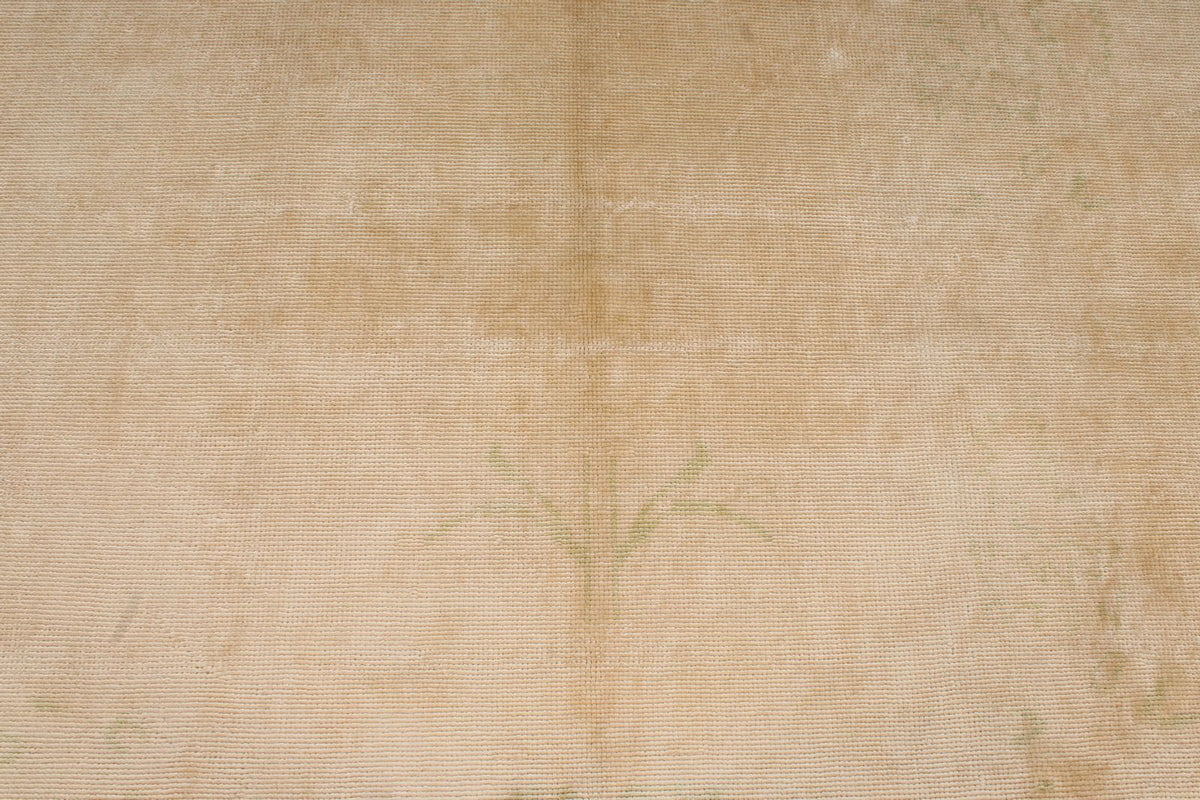 9x11 Beige Traditional Rug