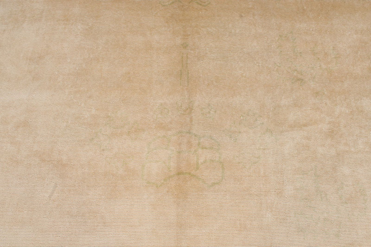 9x11 Beige Traditional Rug