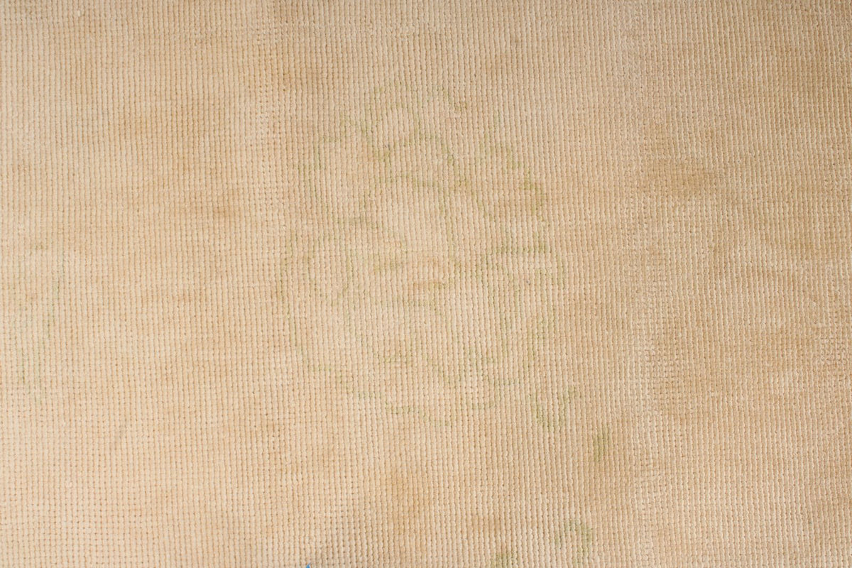9x11 Beige Traditional Rug