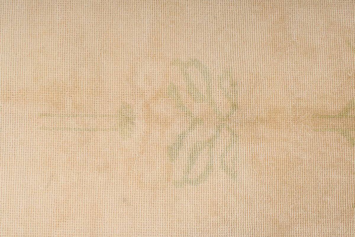 9x11 Beige Traditional Rug