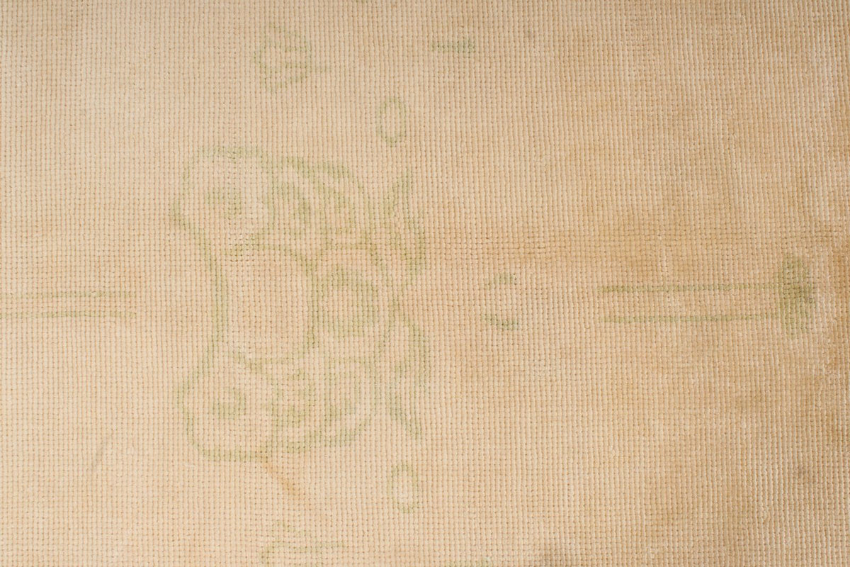 9x11 Beige Traditional Rug