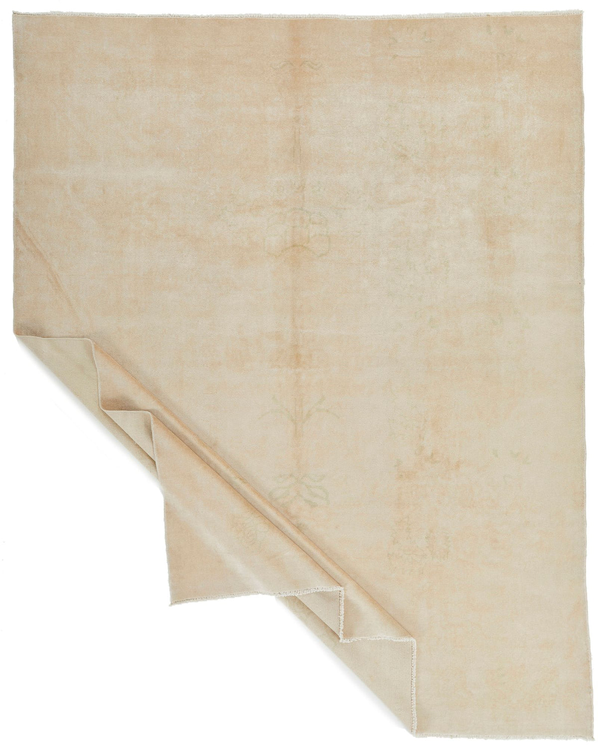 9x11 Beige Traditional Rug