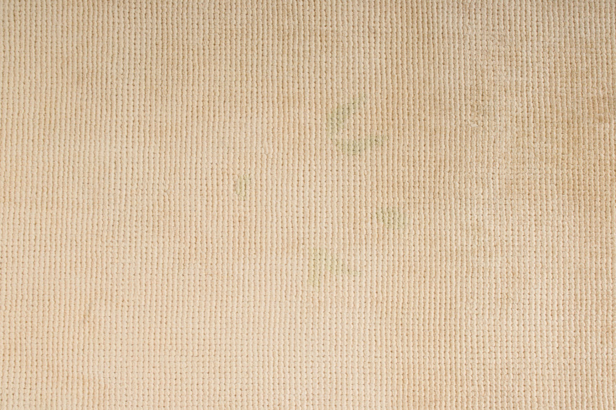 9x11 Beige Traditional Rug