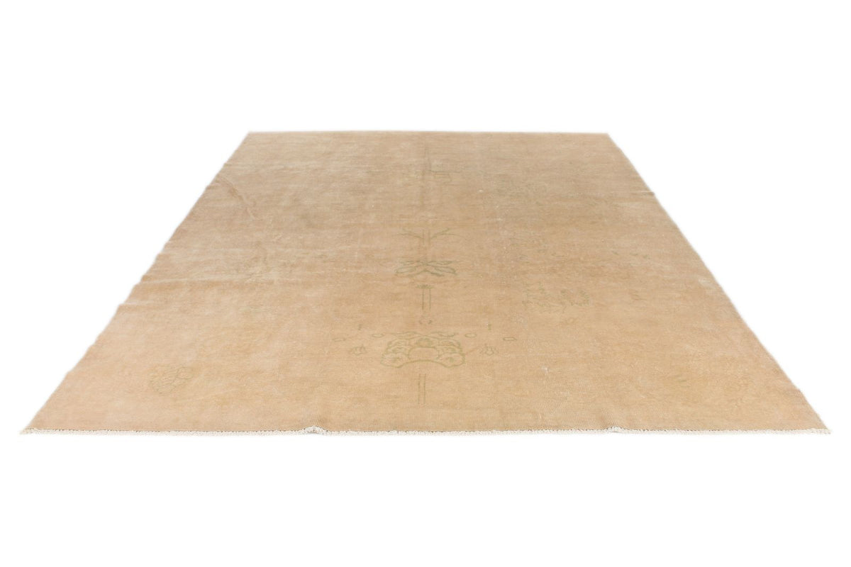 9x11 Beige Traditional Rug