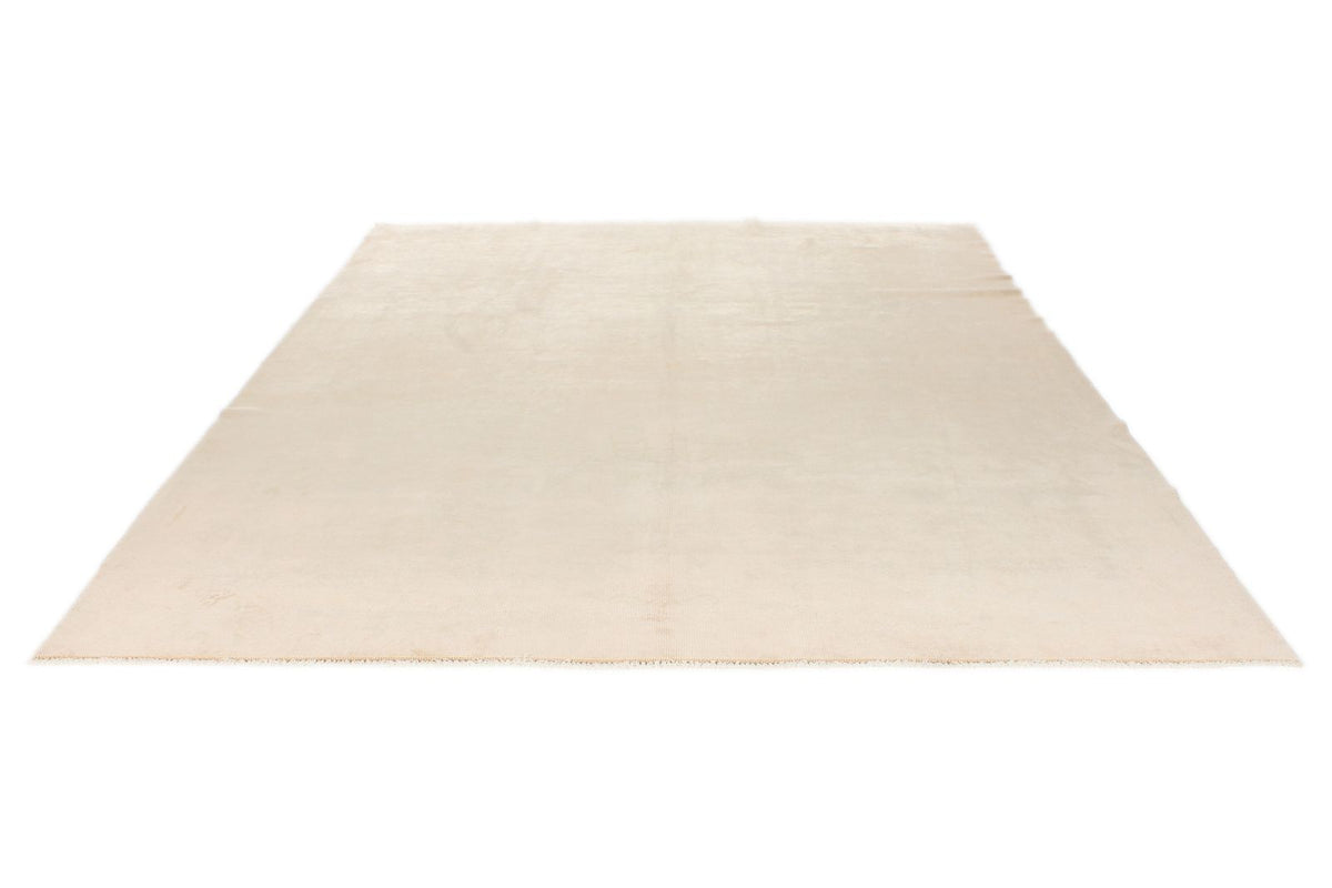 9x11 Beige Traditional Rug