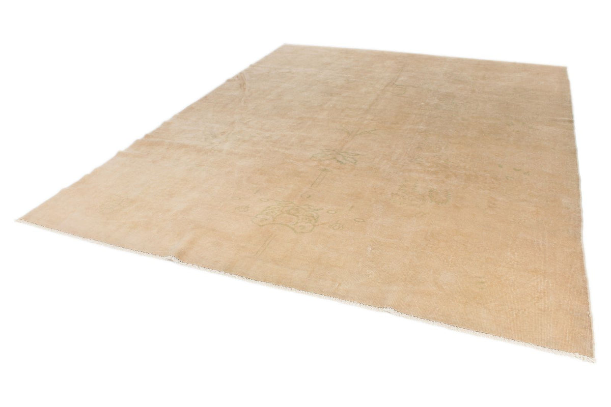 9x11 Beige Traditional Rug