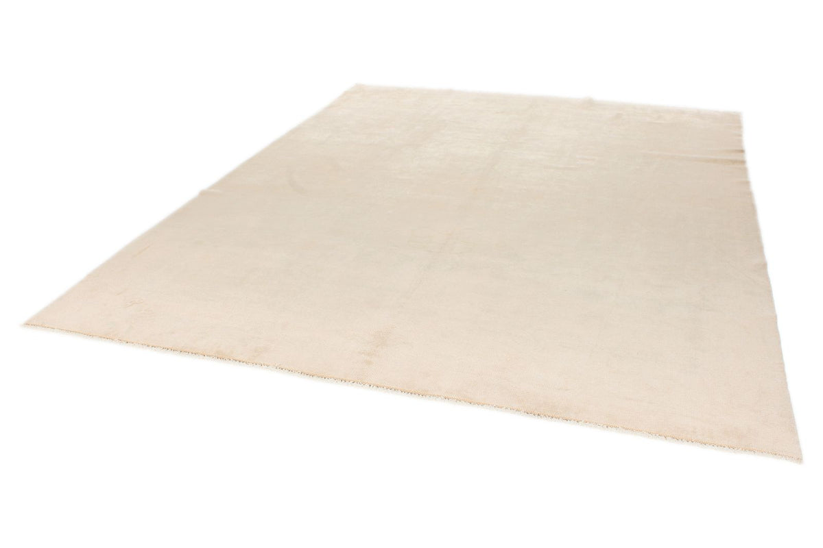 9x11 Beige Traditional Rug