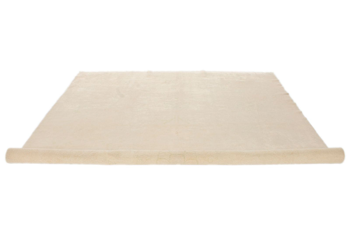 9x11 Beige Traditional Rug