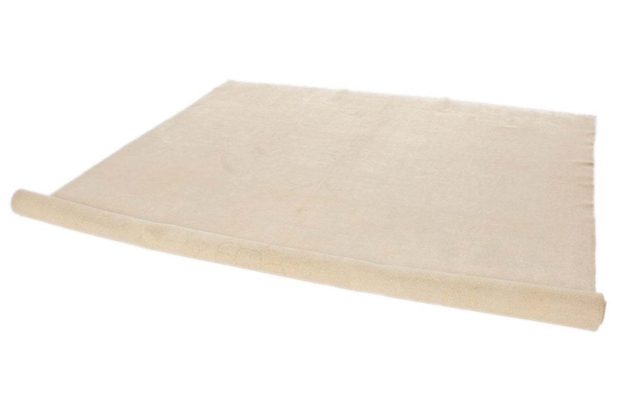 9x11 Beige Traditional Rug