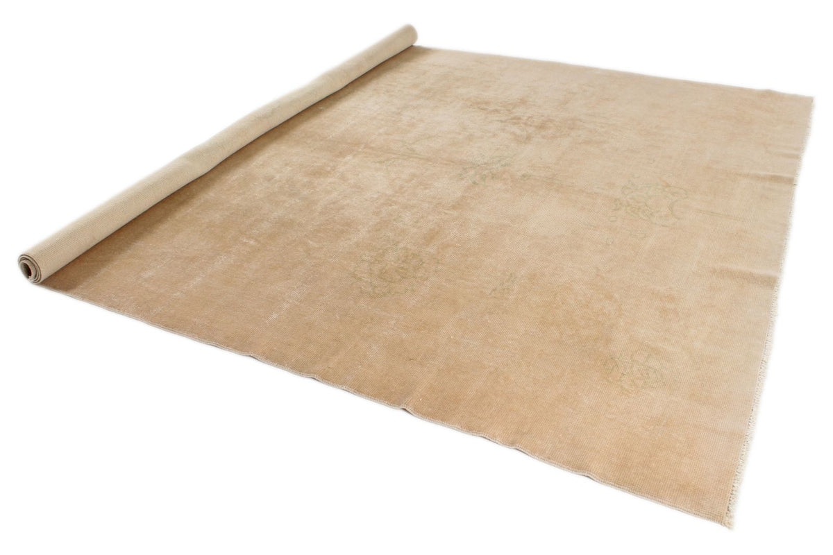 9x11 Beige Traditional Rug