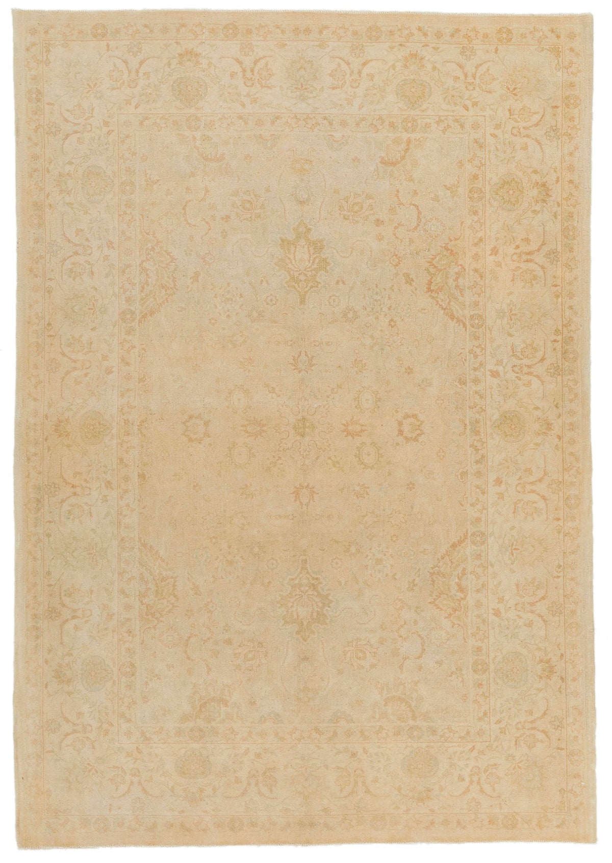 6x9 Beige and Rust Traditional Rug