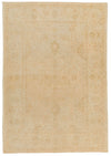 6x9 Beige and Rust Traditional Rug
