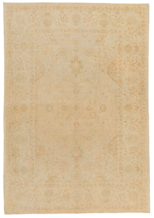 6x9 Beige and Rust Traditional Rug