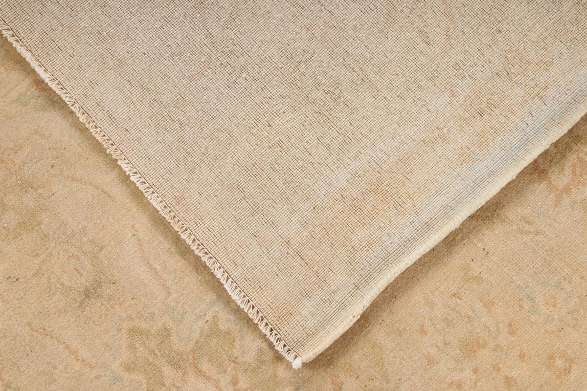 6x9 Beige and Rust Traditional Rug