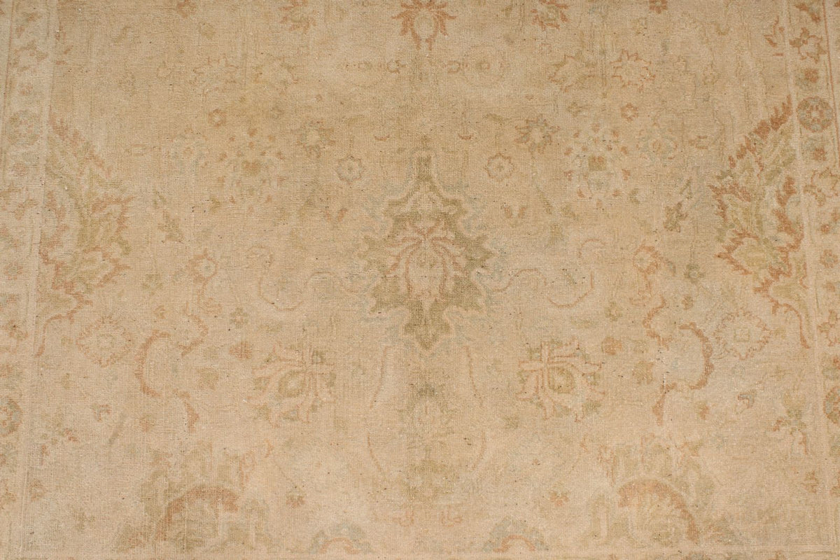 6x9 Beige and Rust Traditional Rug