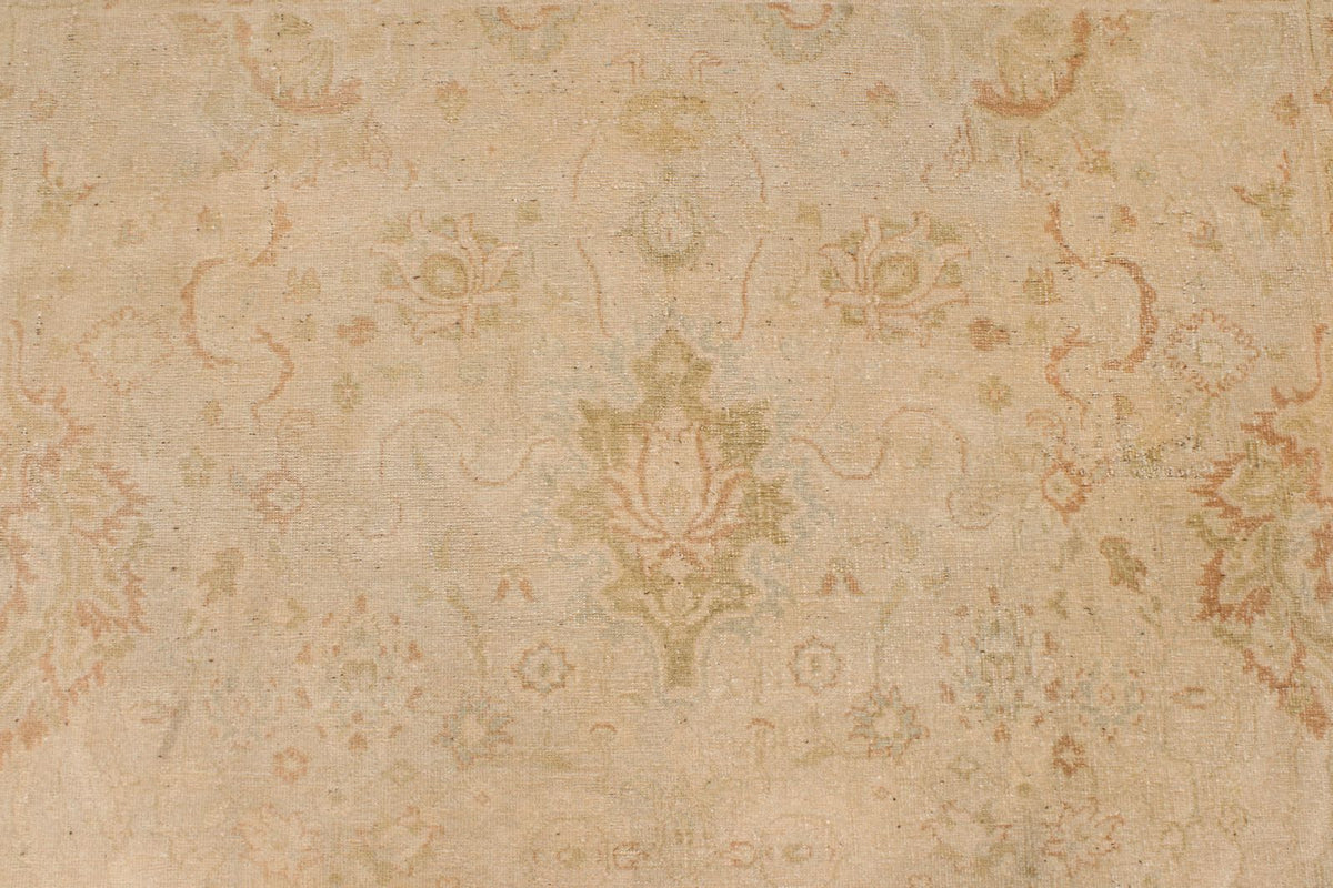 6x9 Beige and Rust Traditional Rug
