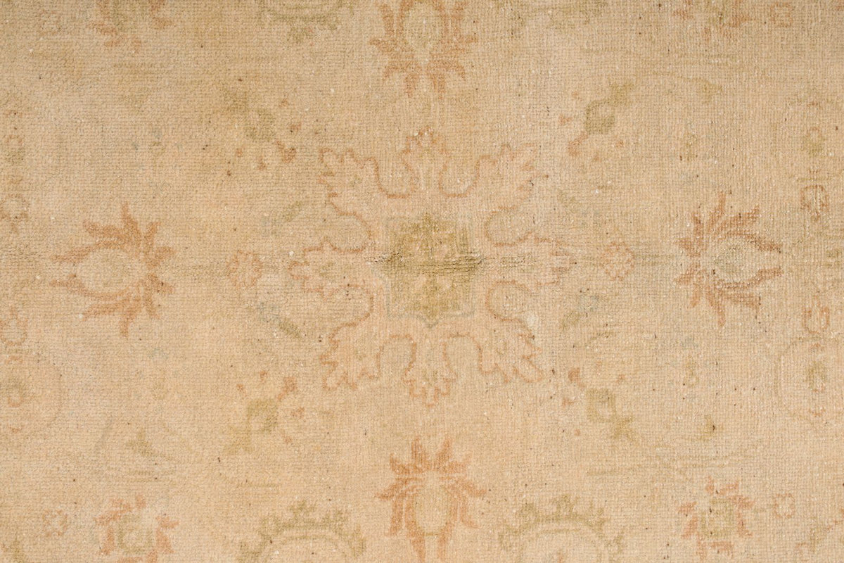 6x9 Beige and Rust Traditional Rug