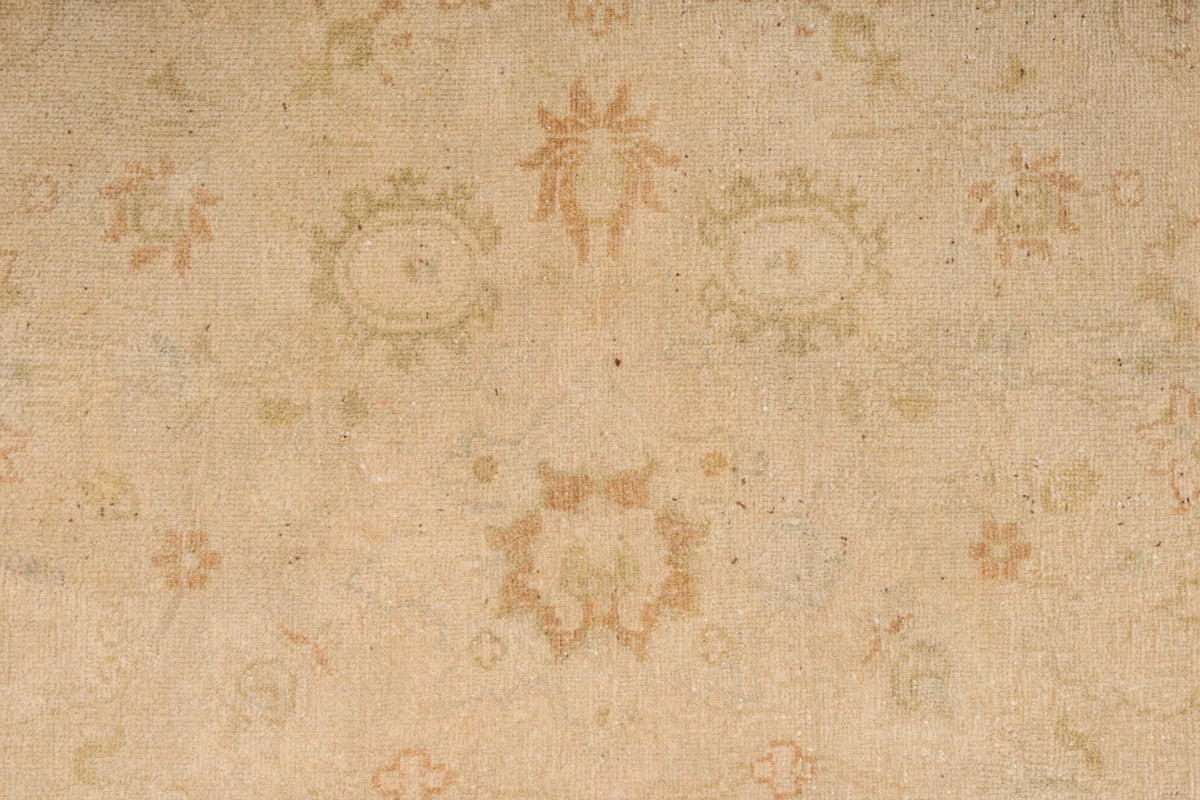 6x9 Beige and Rust Traditional Rug