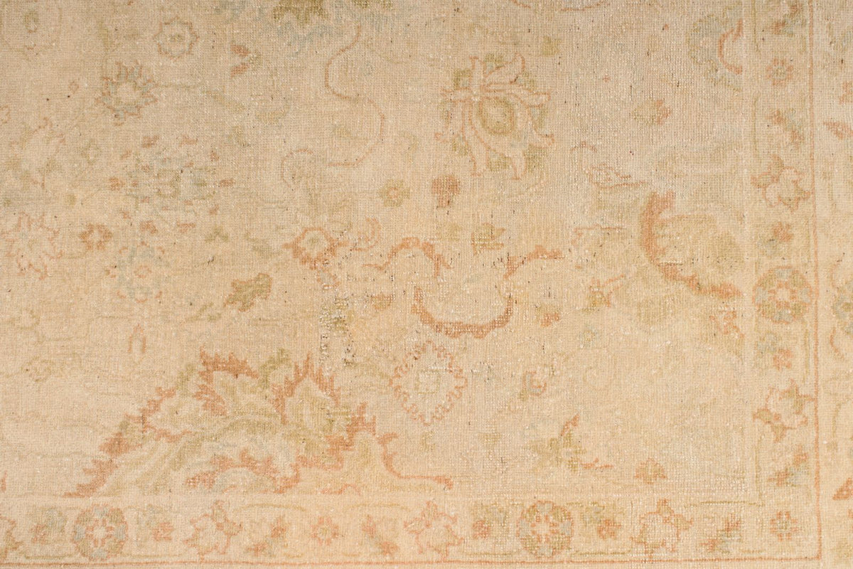 6x9 Beige and Rust Traditional Rug