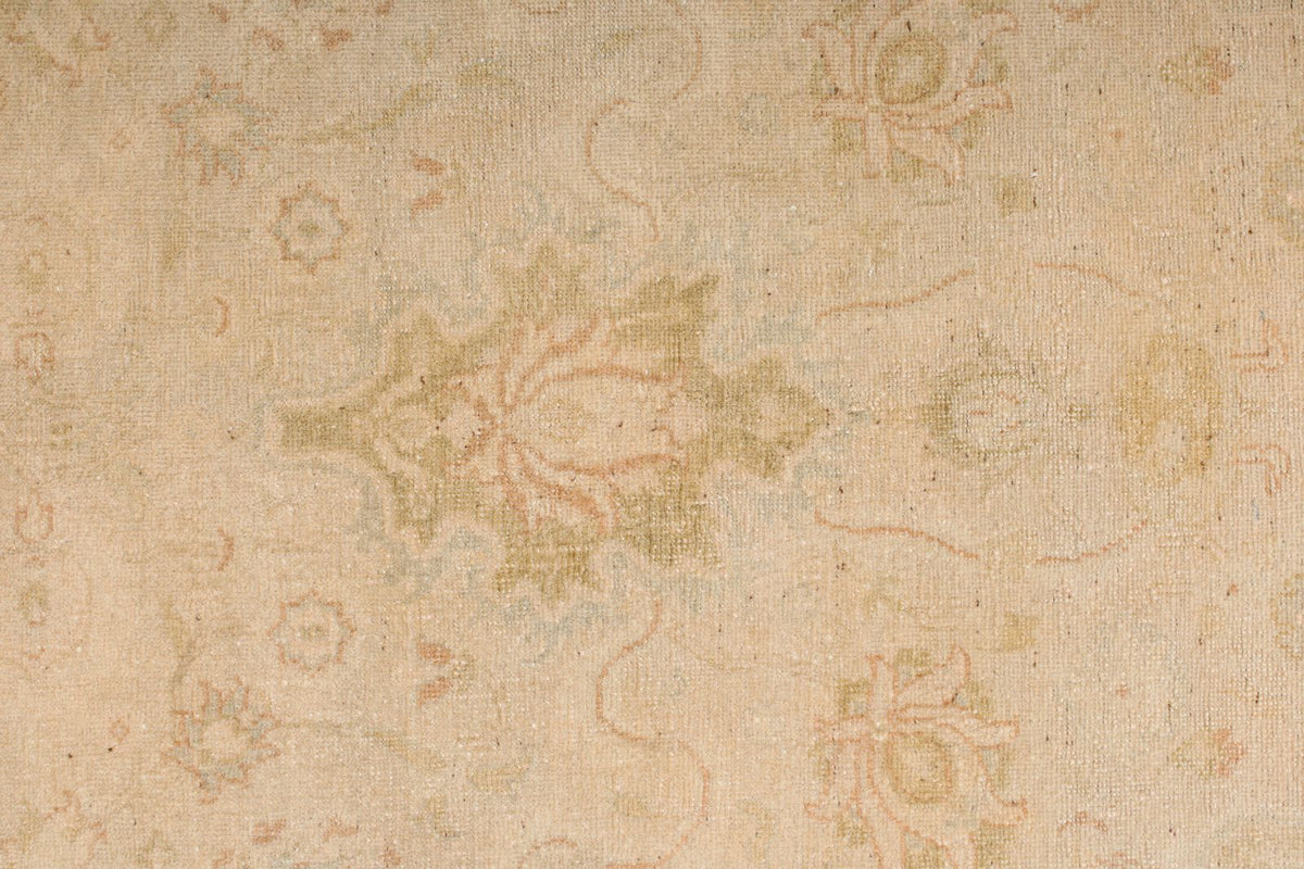 6x9 Beige and Rust Traditional Rug