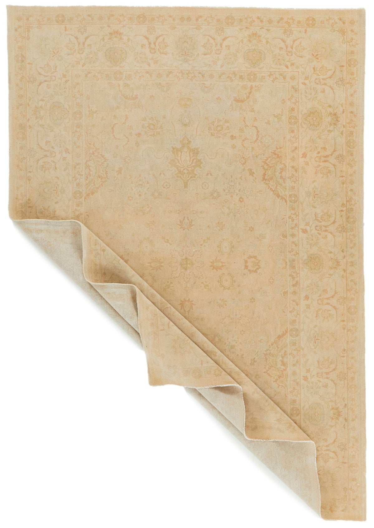 6x9 Beige and Rust Traditional Rug