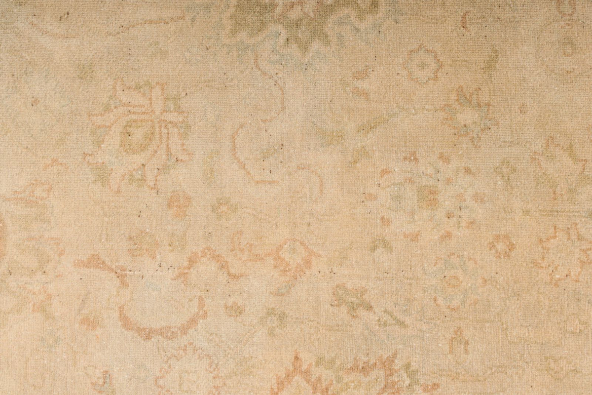 6x9 Beige and Rust Traditional Rug