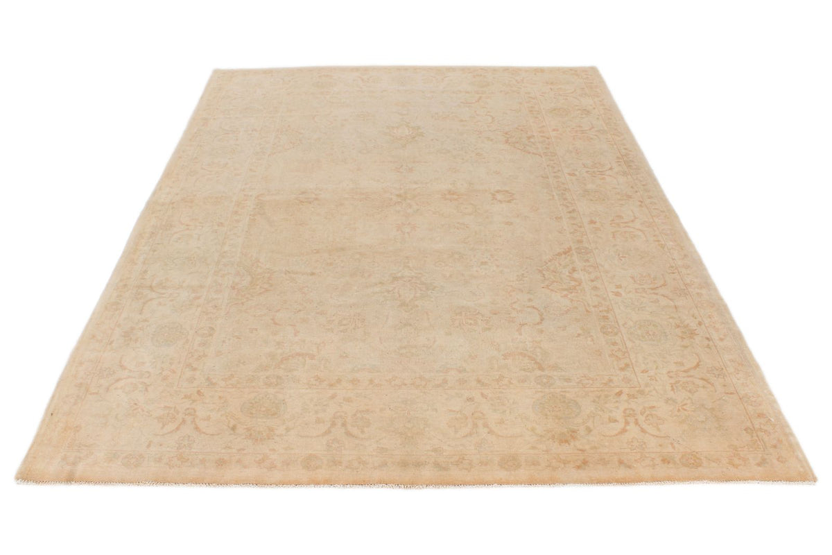 6x9 Beige and Rust Traditional Rug
