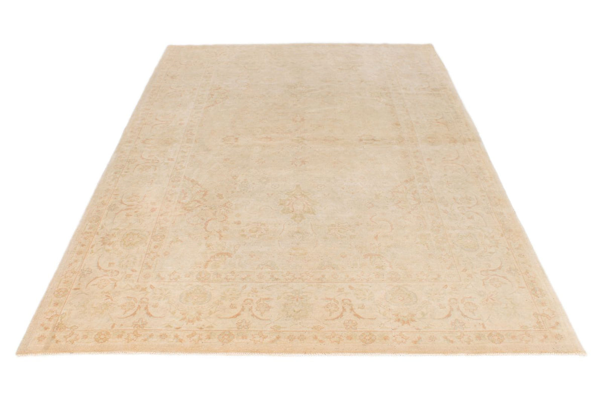 6x9 Beige and Rust Traditional Rug