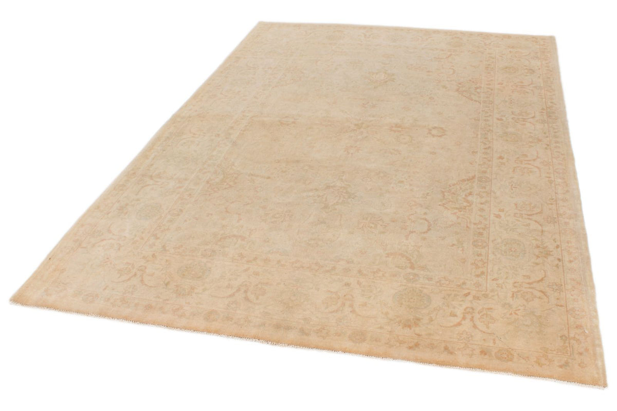 6x9 Beige and Rust Traditional Rug