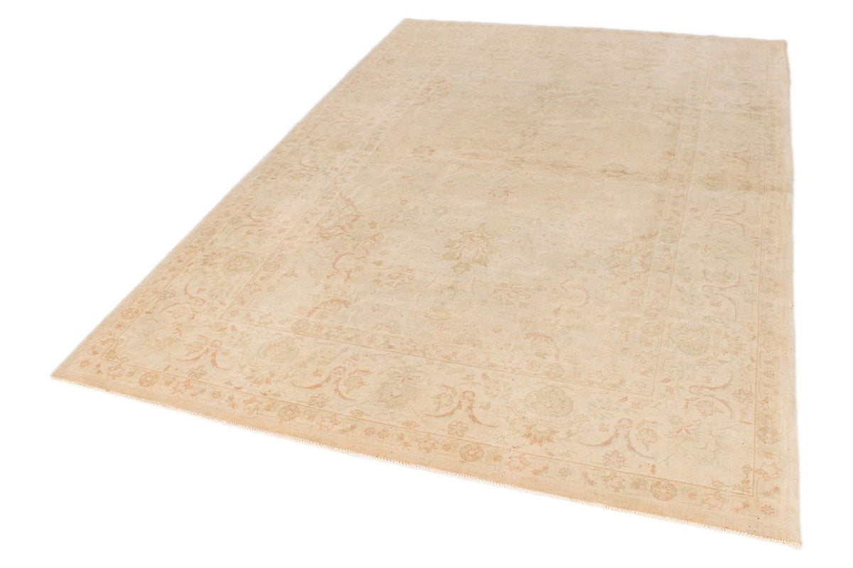 6x9 Beige and Rust Traditional Rug