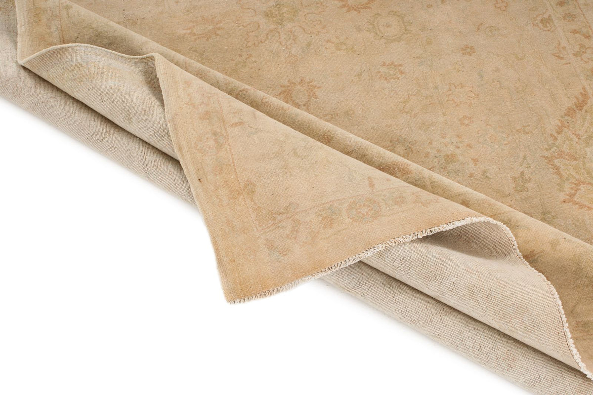 6x9 Beige and Rust Traditional Rug