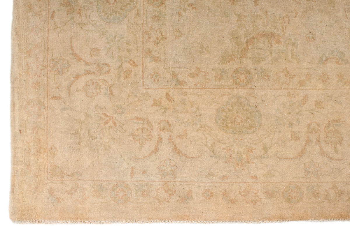 6x9 Beige and Rust Traditional Rug