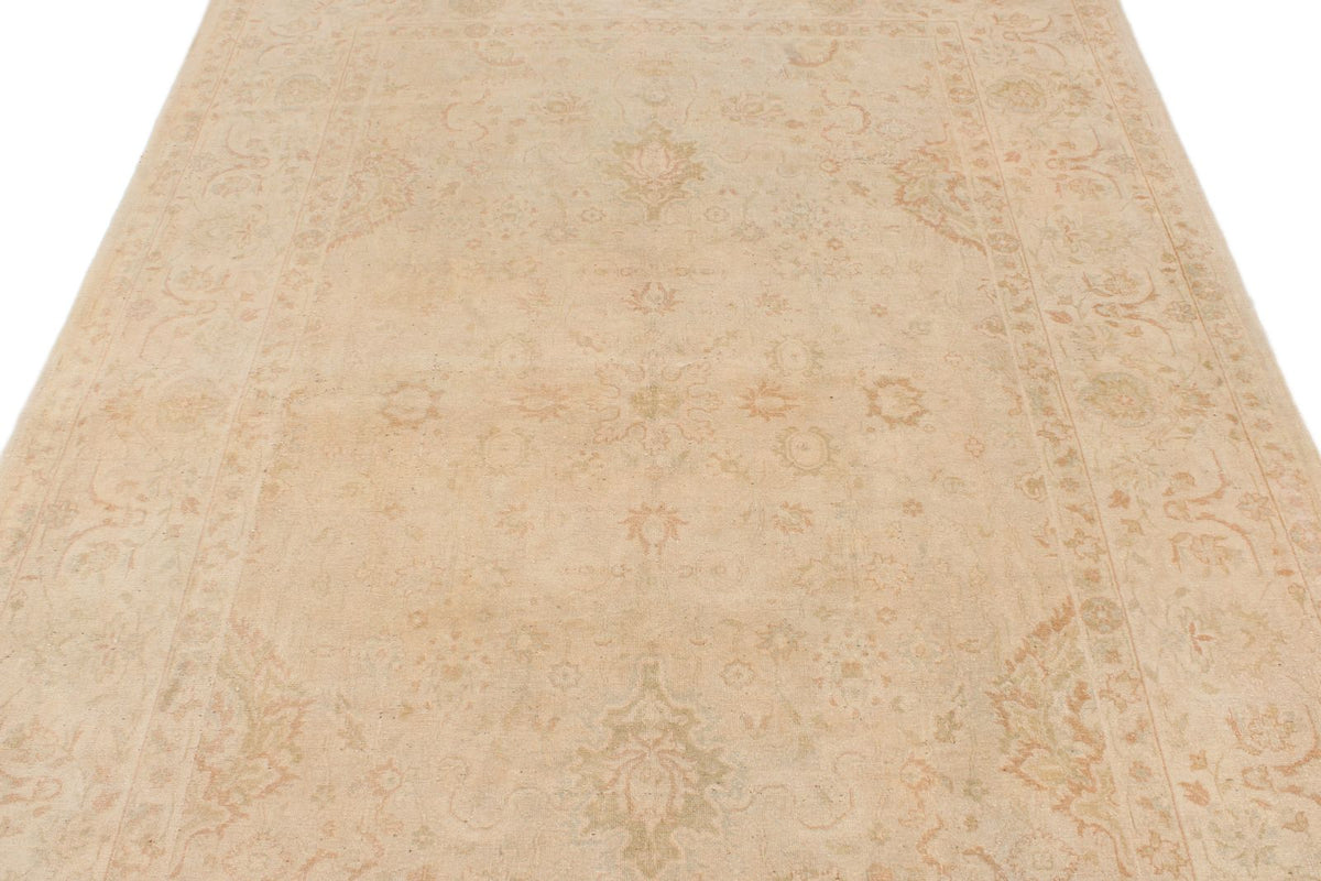 6x9 Beige and Rust Traditional Rug
